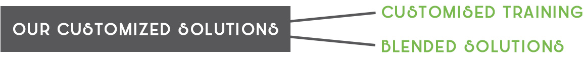 customized solutions-title